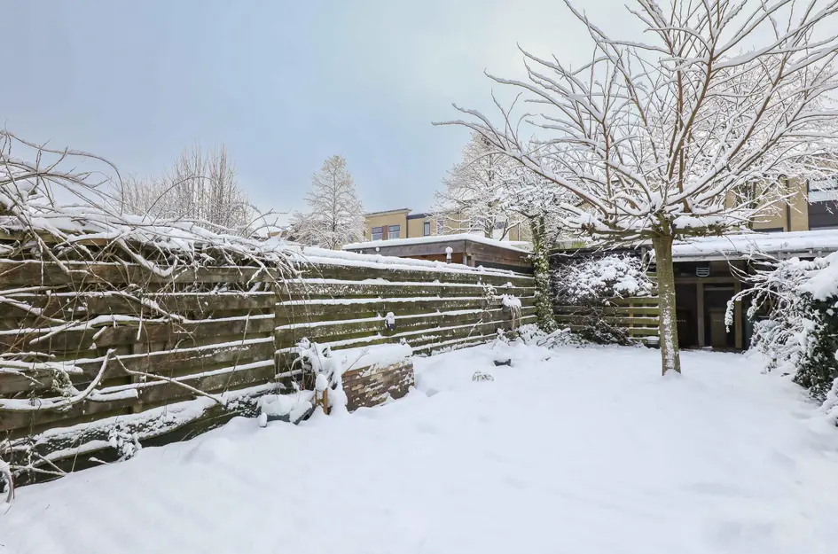 Brabantse Bellefleur 11