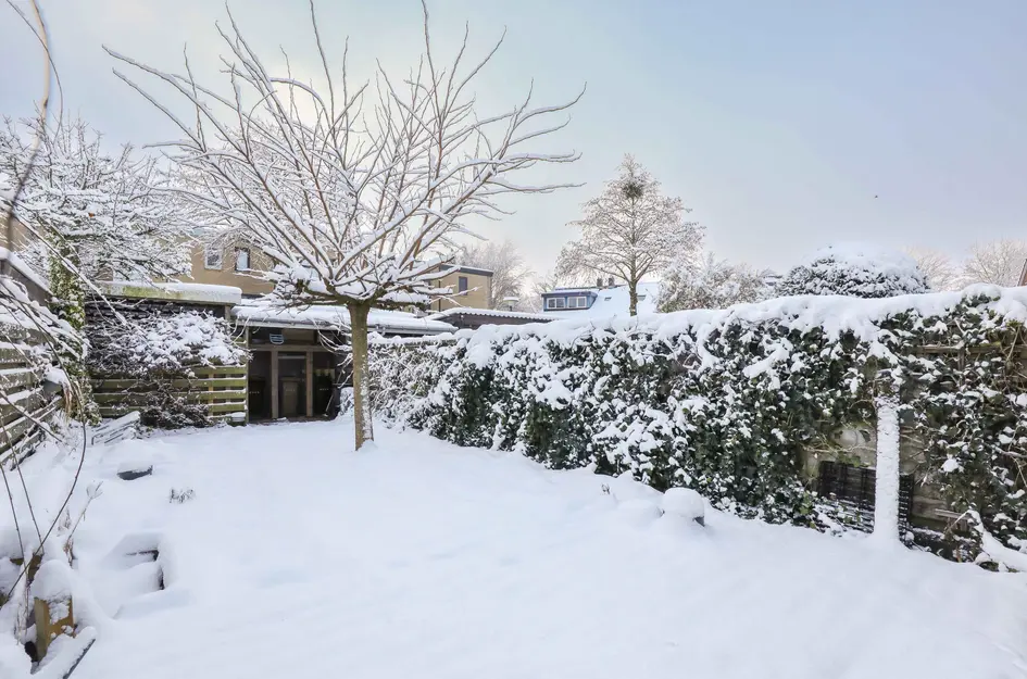 Brabantse Bellefleur 11