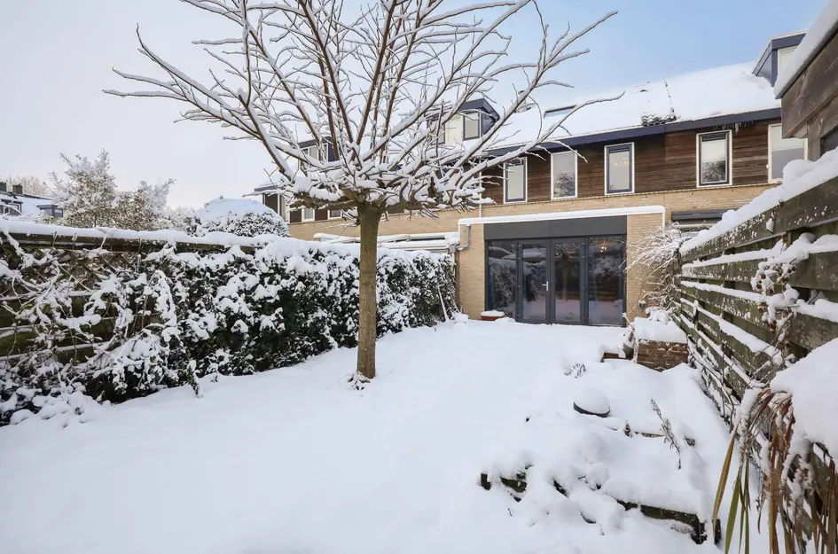 Brabantse Bellefleur 11