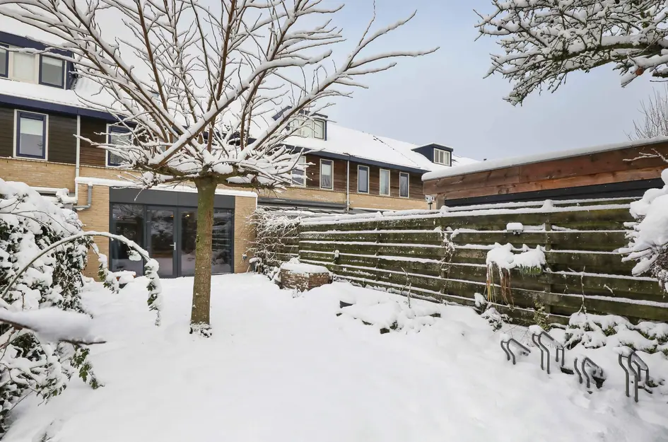 Brabantse Bellefleur 11