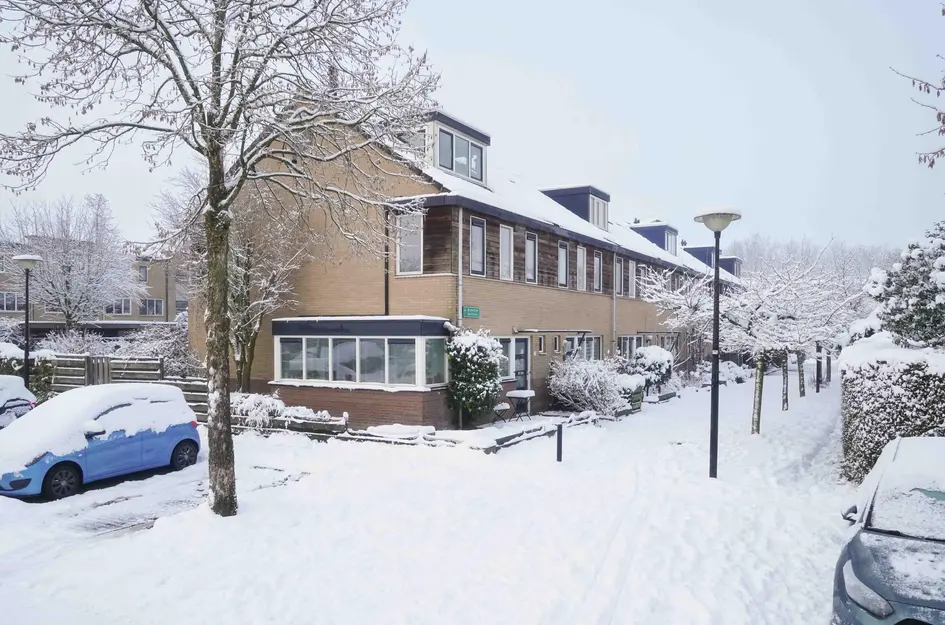 Brabantse Bellefleur 11