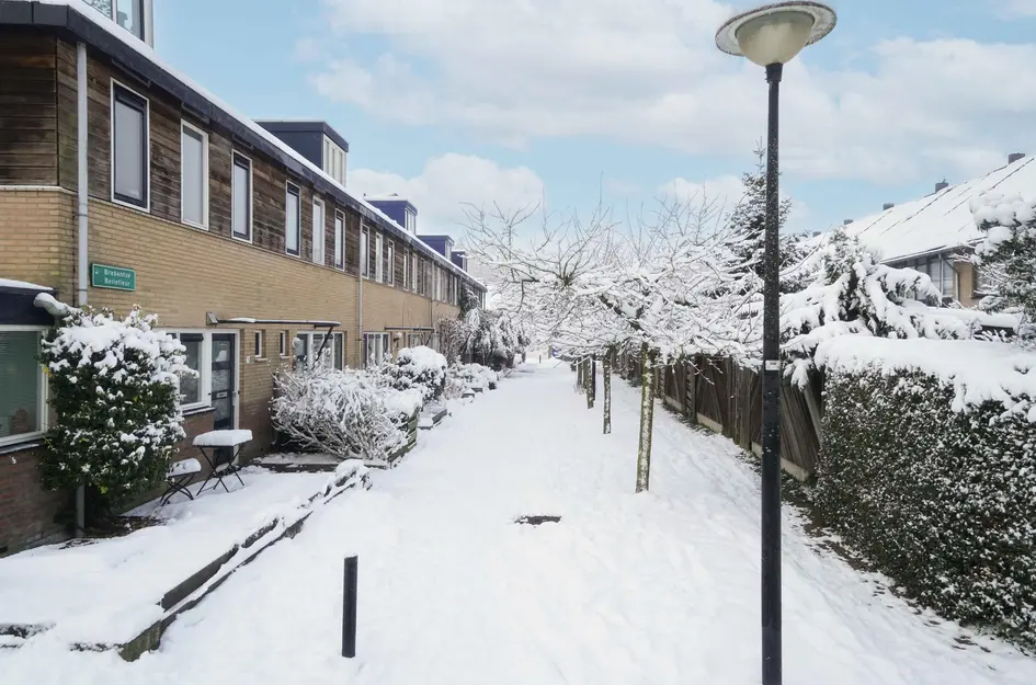 Brabantse Bellefleur 11