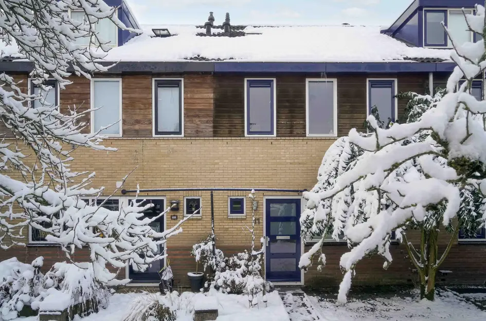 Brabantse Bellefleur 11