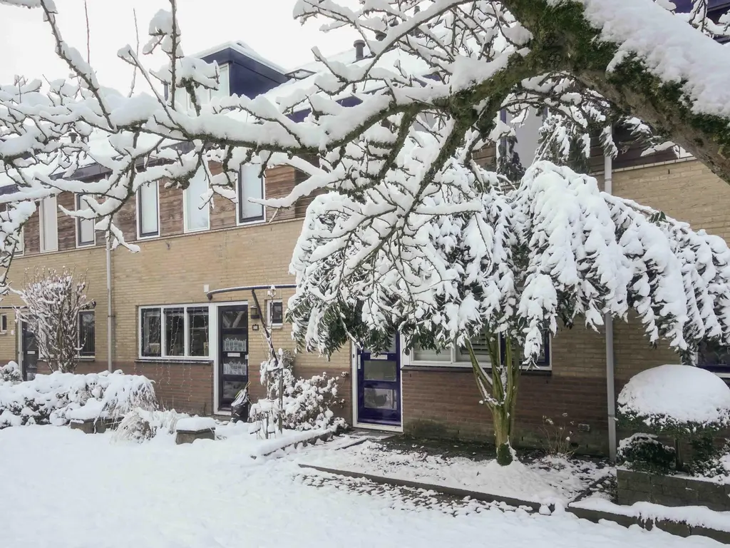 Brabantse Bellefleur 11, AMERSFOORT