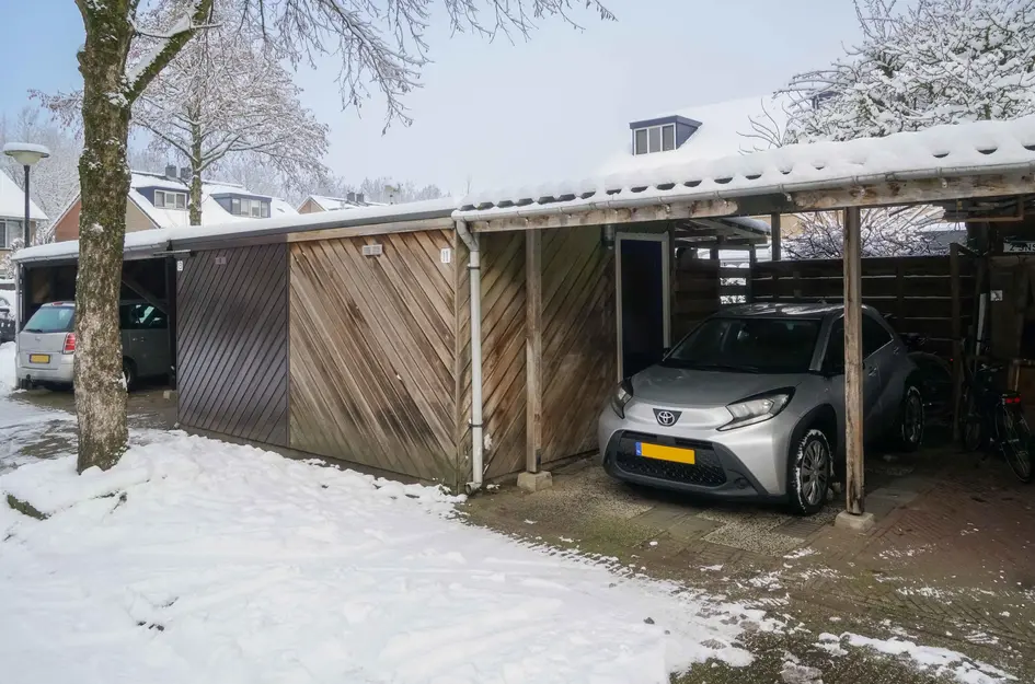 Brabantse Bellefleur 11