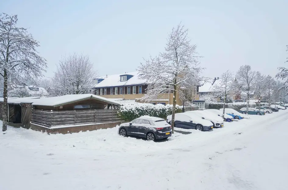 Brabantse Bellefleur 11