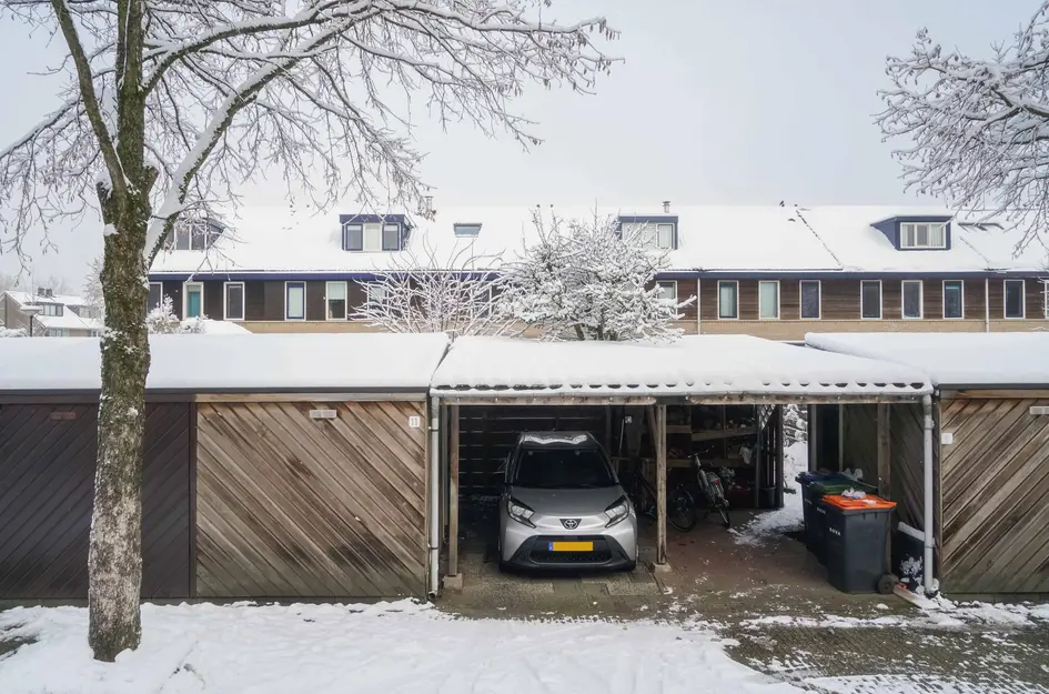 Brabantse Bellefleur 11