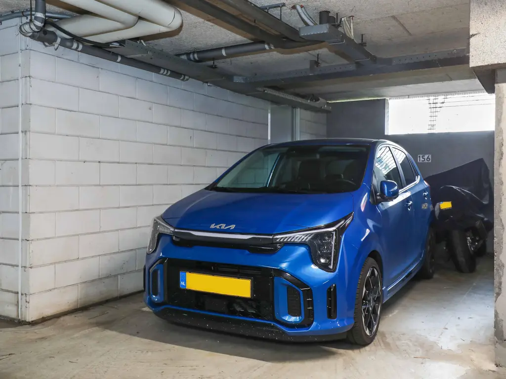 Meerval , AMERSFOORT