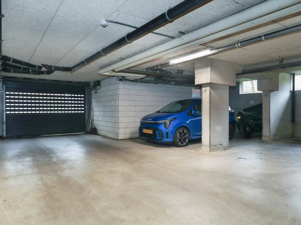 Meerval , AMERSFOORT