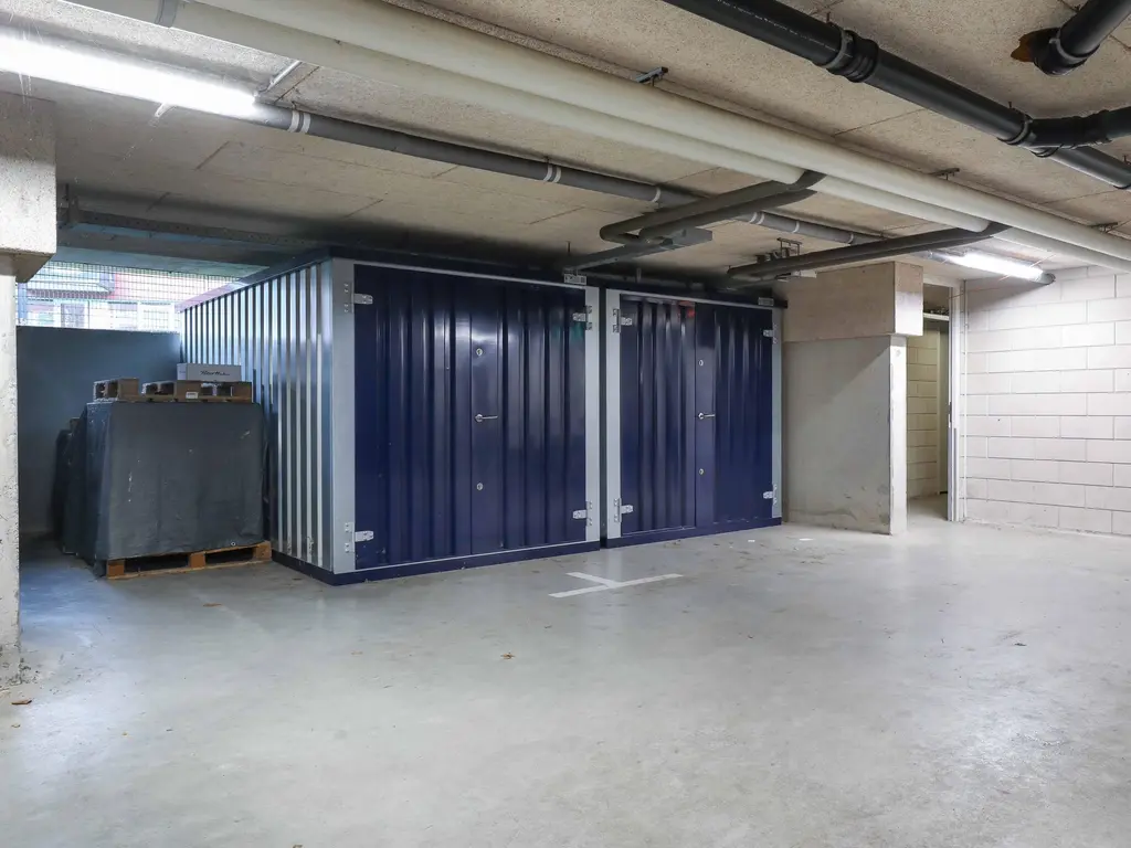 Meerval , AMERSFOORT