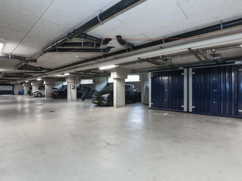 Meerval , AMERSFOORT