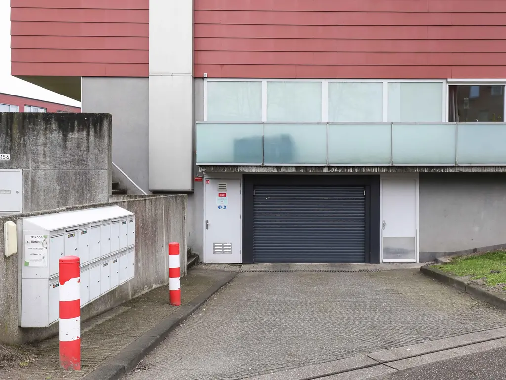 Meerval , AMERSFOORT