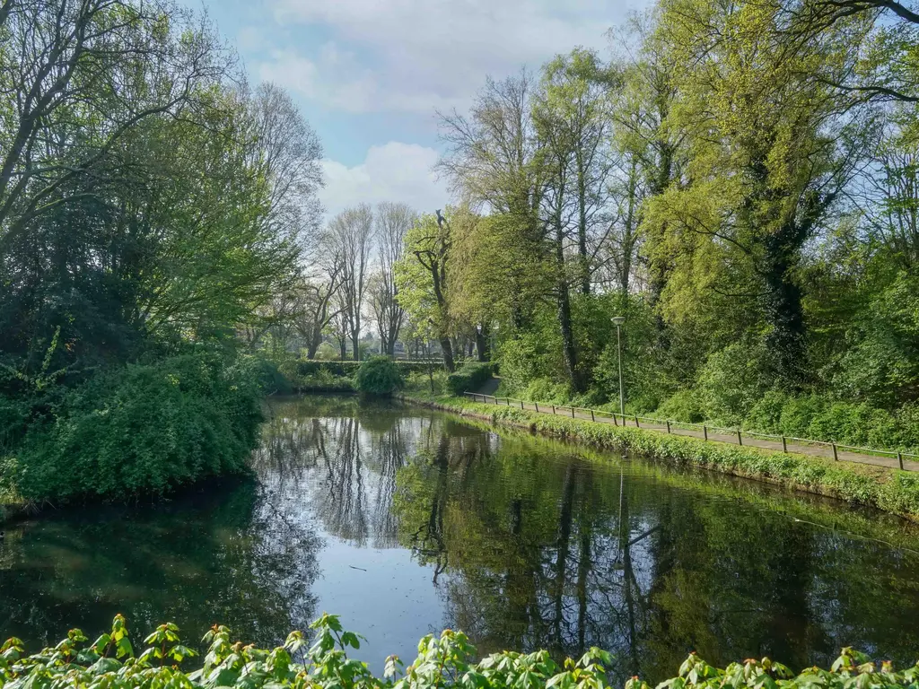 Kolkrijst 174, HOOGLAND