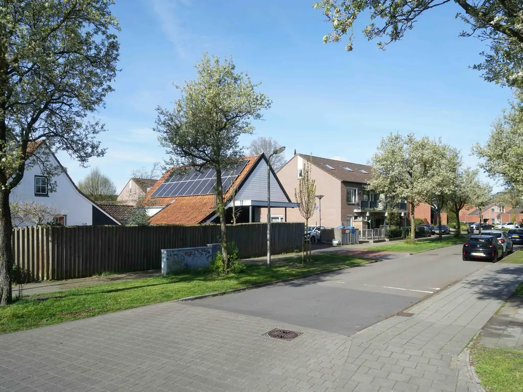 Tolick 3, HOOGLAND
