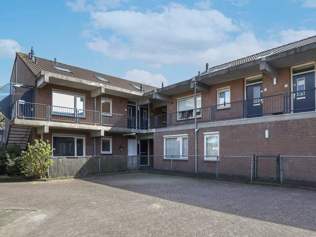 Tolick 3, HOOGLAND