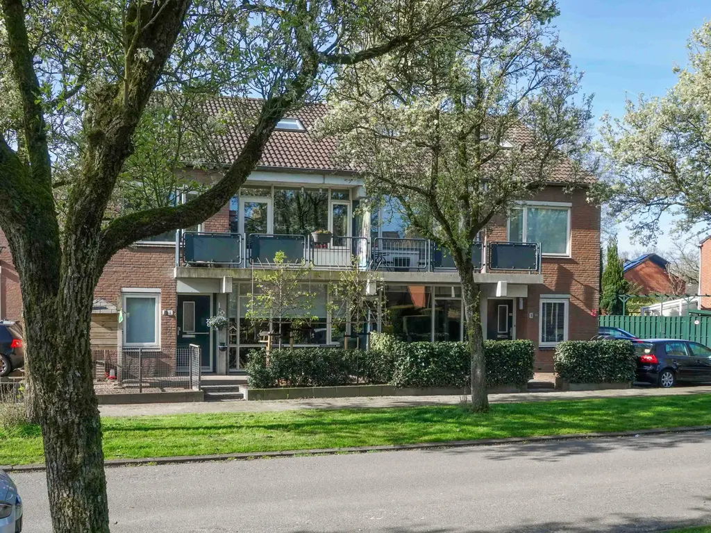 Tolick 3, HOOGLAND