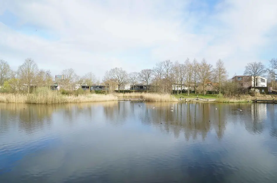 Juttepeergaarde 9