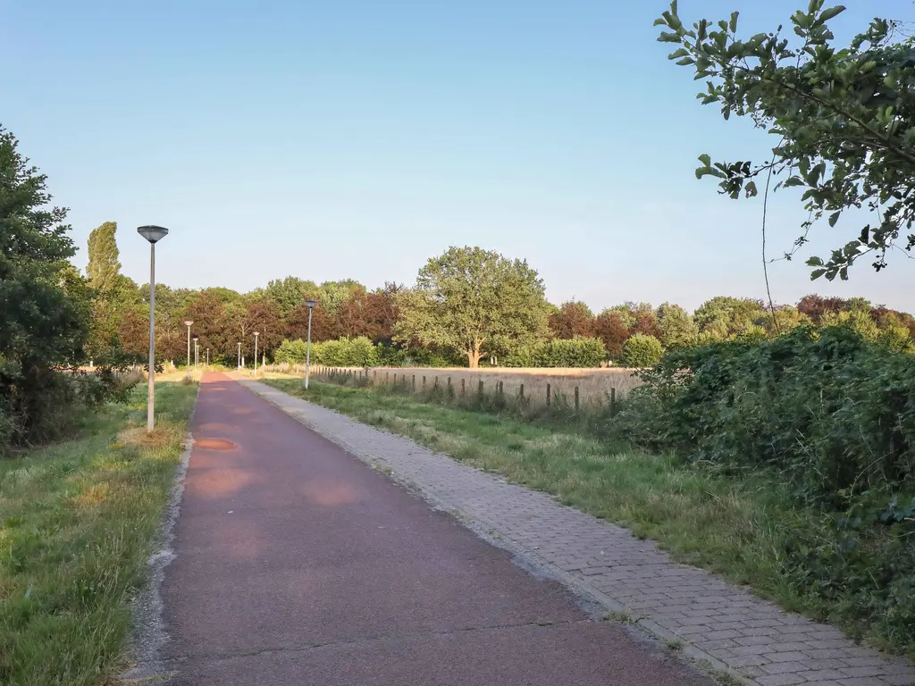 Schrijnwerkerlaan 20, HOOGLAND