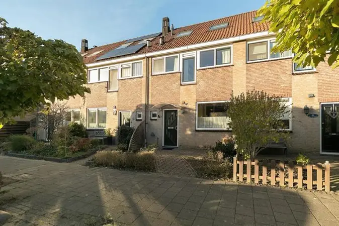 Afbeelding 1