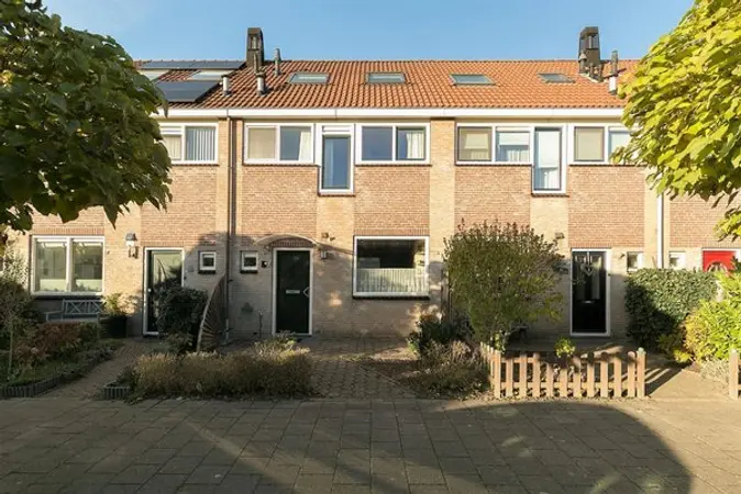 Afbeelding 2
