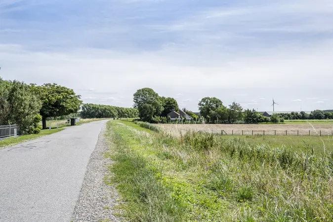 Afbeelding 38
