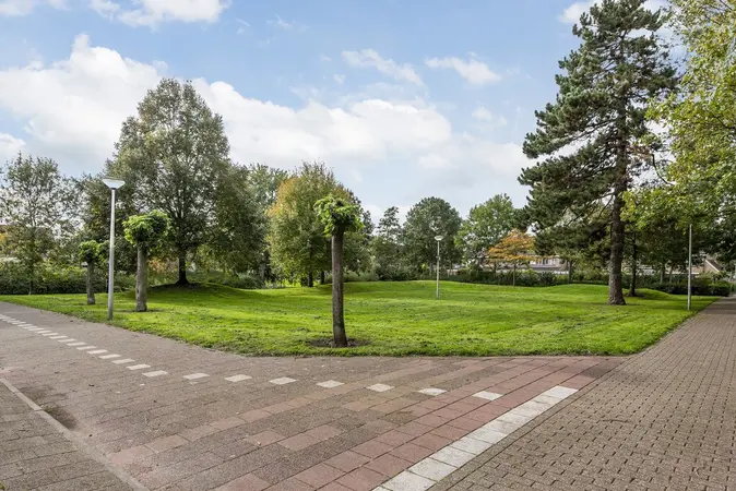 Afbeelding 23