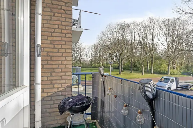 Afbeelding 16