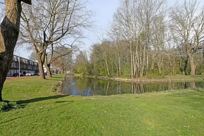 Afbeelding 21