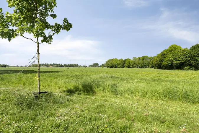 Afbeelding 23