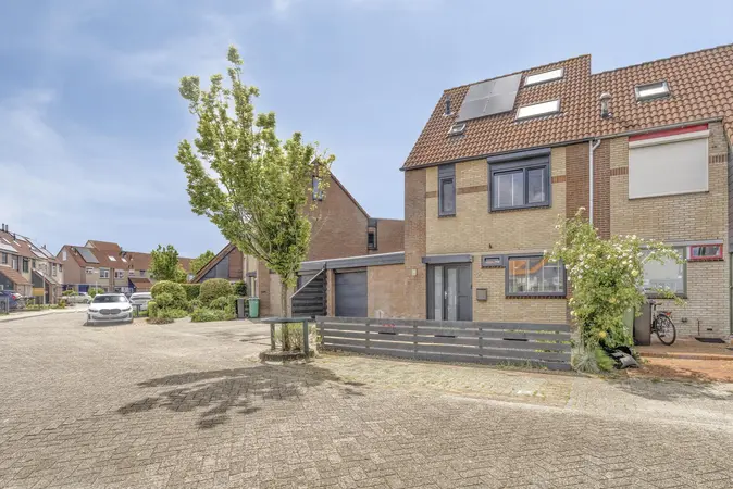 Afbeelding 31