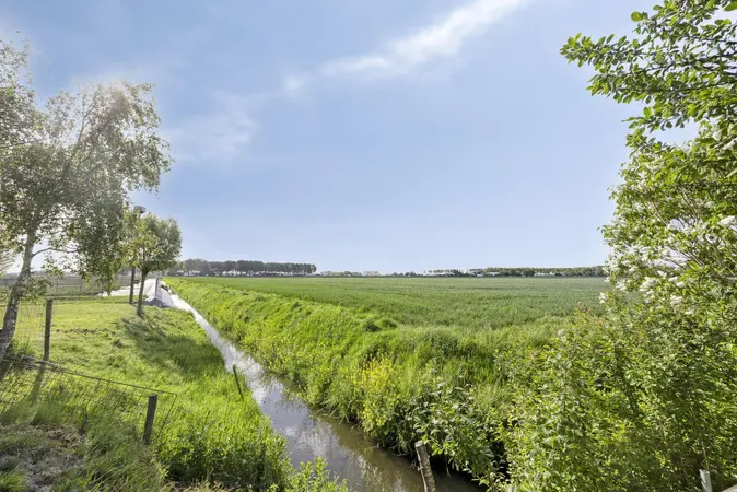 Afbeelding 36