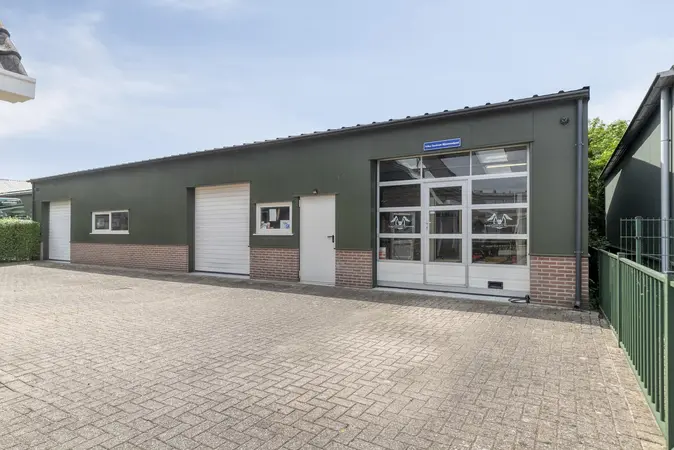 Afbeelding 5