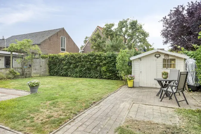 Afbeelding 21