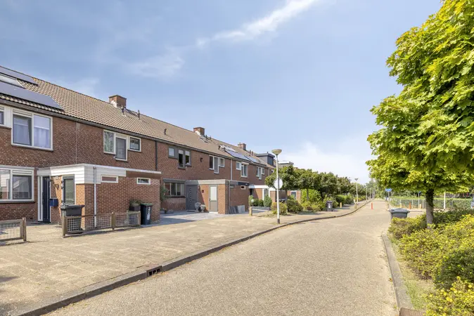 Afbeelding 2