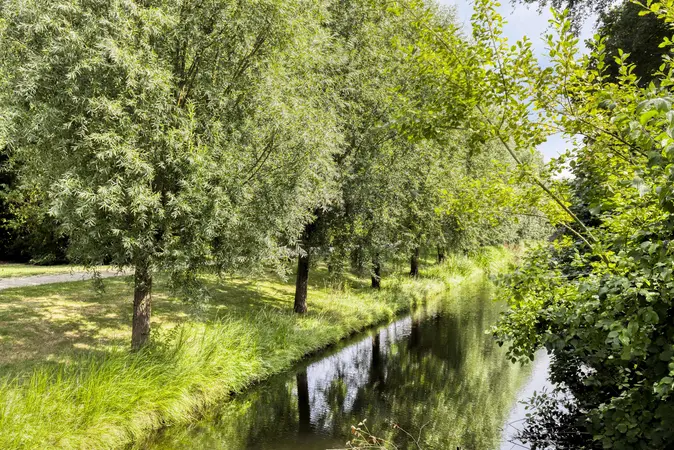Afbeelding 36