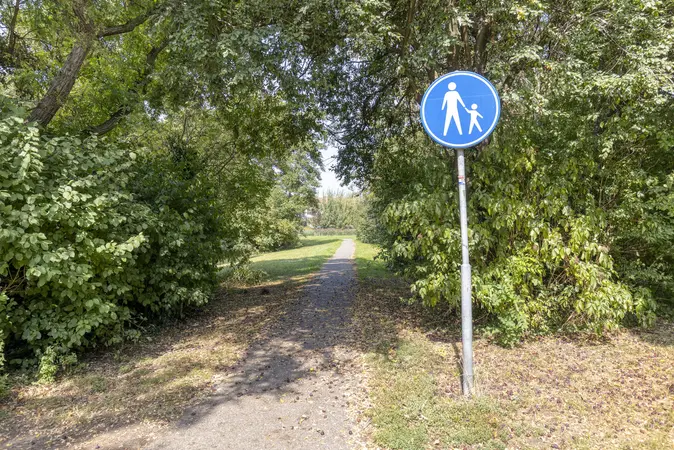 Afbeelding 37