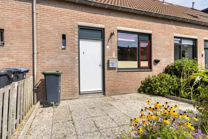 Afbeelding 5