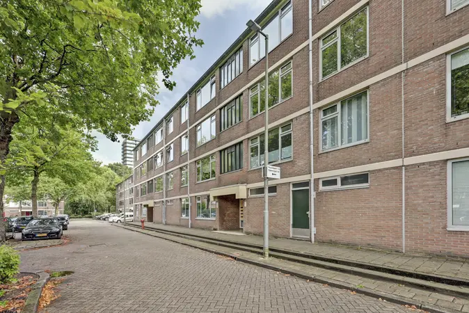 Afbeelding 1