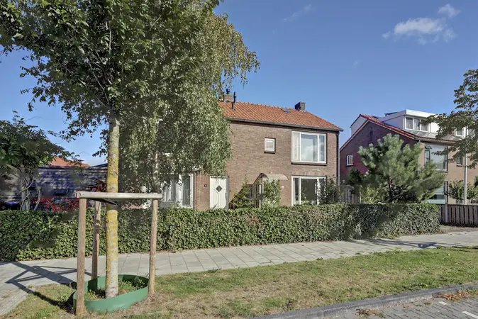 Afbeelding 4