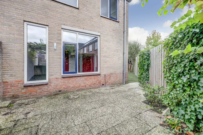 Afbeelding 24