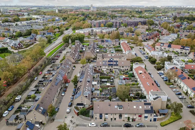 Afbeelding 31
