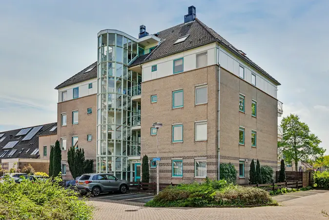 Afbeelding 1