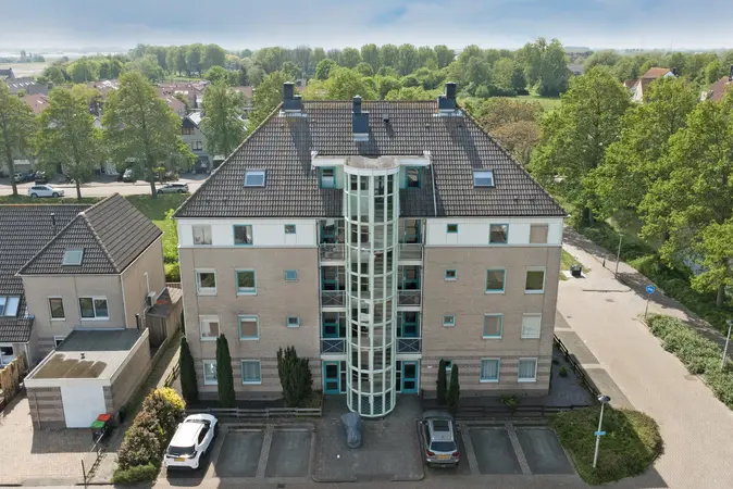 Afbeelding 3