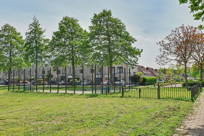 Afbeelding 26