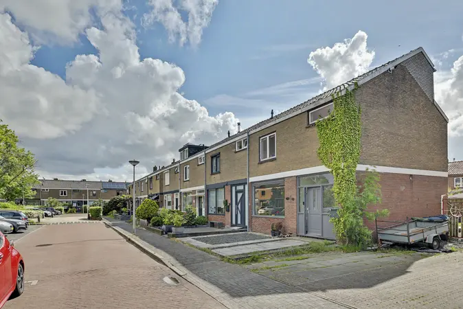 Afbeelding 3