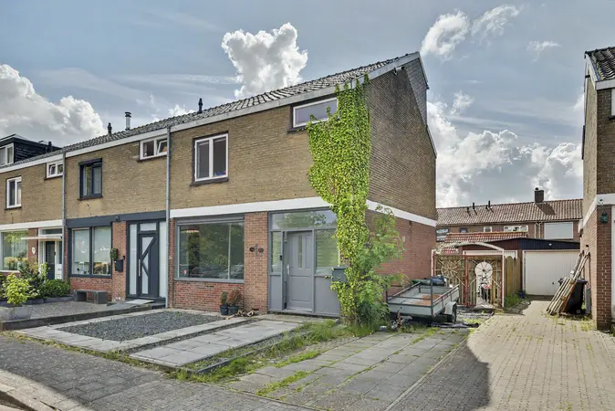 Afbeelding 4