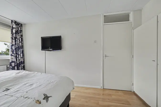 Afbeelding 16