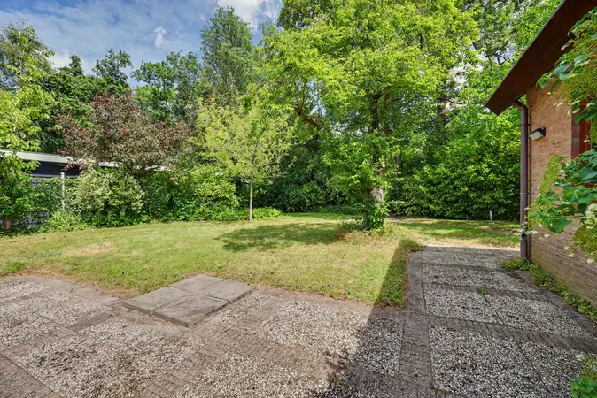 Afbeelding 38