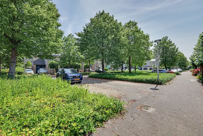 Afbeelding 31