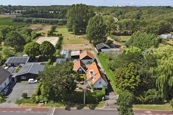 Afbeelding 1